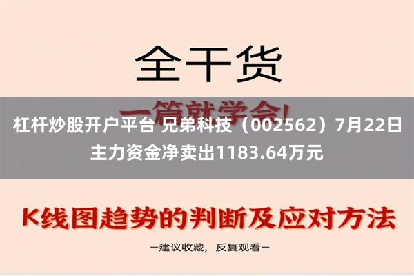 杠杆炒股开户平台 兄弟科技（002562）7月22日主力资金净卖出1183.64万元