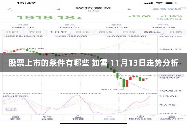 股票上市的条件有哪些 如雪 11月13日走势分析