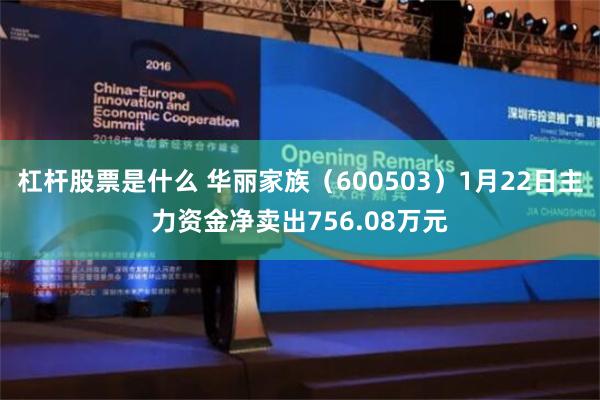 杠杆股票是什么 华丽家族（600503）1月22日主力资金净卖出756.08万元